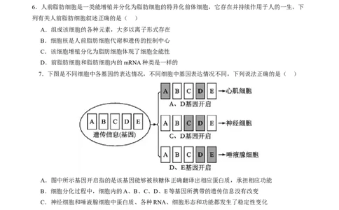 专题三细胞的生命历程（原卷版）_2025年新高考资料_二轮复习_01高考语文等多个文件_上好课2025年高考生物二轮复习讲练测（新高考通用）