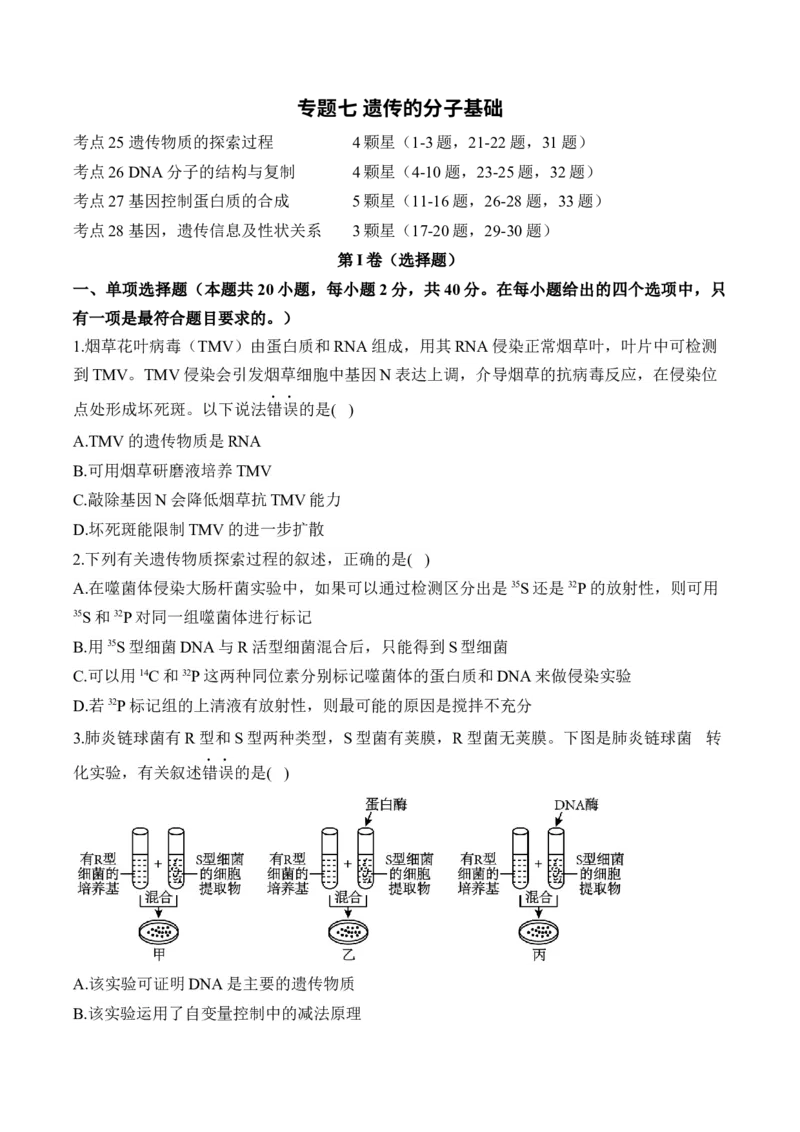 专题七遗传的分子基础（有解析）&mdash;&mdash;2025届高考生物考点剖析_2025年新高考资料_一轮复习_2025届高考生物一轮复习考点剖析练习（有解析）
