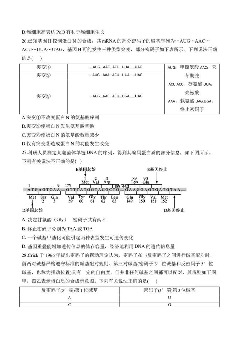 专题七遗传的分子基础（有解析）&mdash;&mdash;2025届高考生物考点剖析_2025年新高考资料_一轮复习_2025届高考生物一轮复习考点剖析练习（有解析）