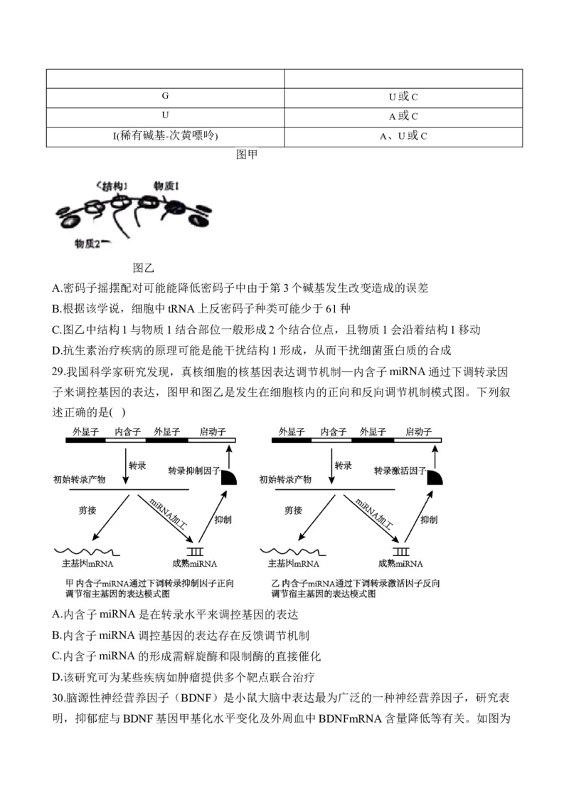 专题七遗传的分子基础（有解析）&mdash;&mdash;2025届高考生物考点剖析_2025年新高考资料_一轮复习_2025届高考生物一轮复习考点剖析练习（有解析）