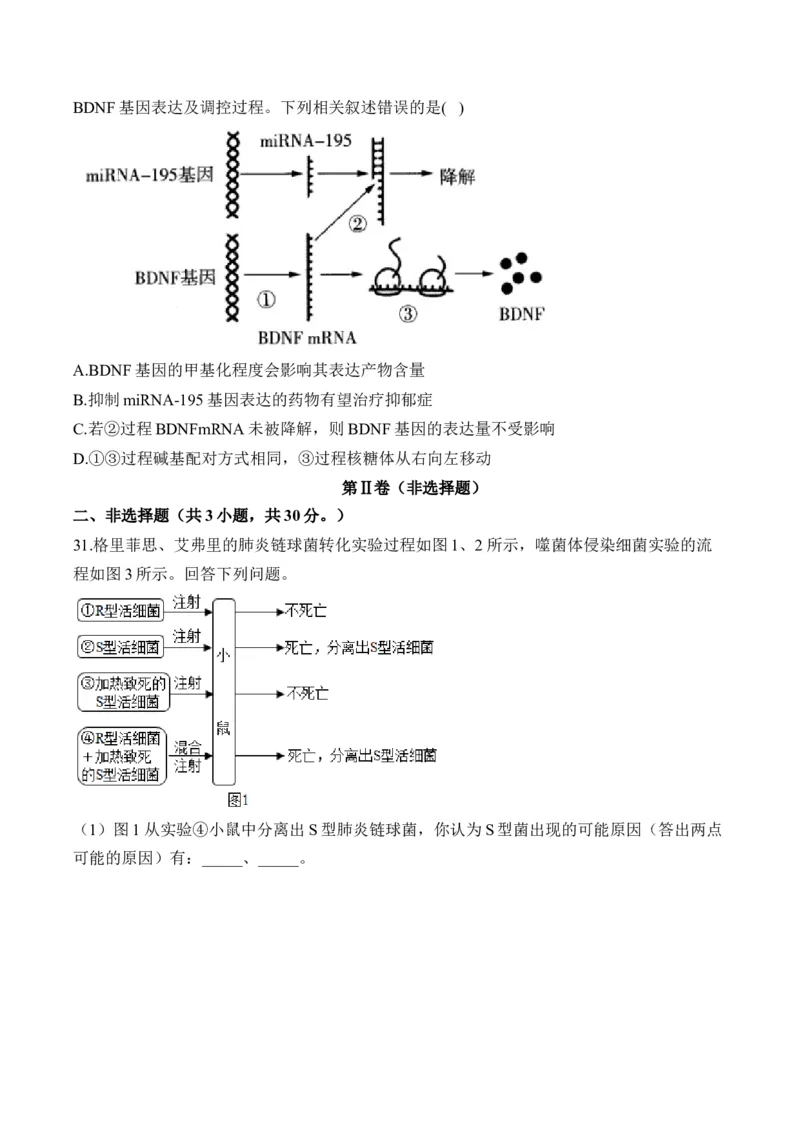 专题七遗传的分子基础（有解析）&mdash;&mdash;2025届高考生物考点剖析_2025年新高考资料_一轮复习_2025届高考生物一轮复习考点剖析练习（有解析）