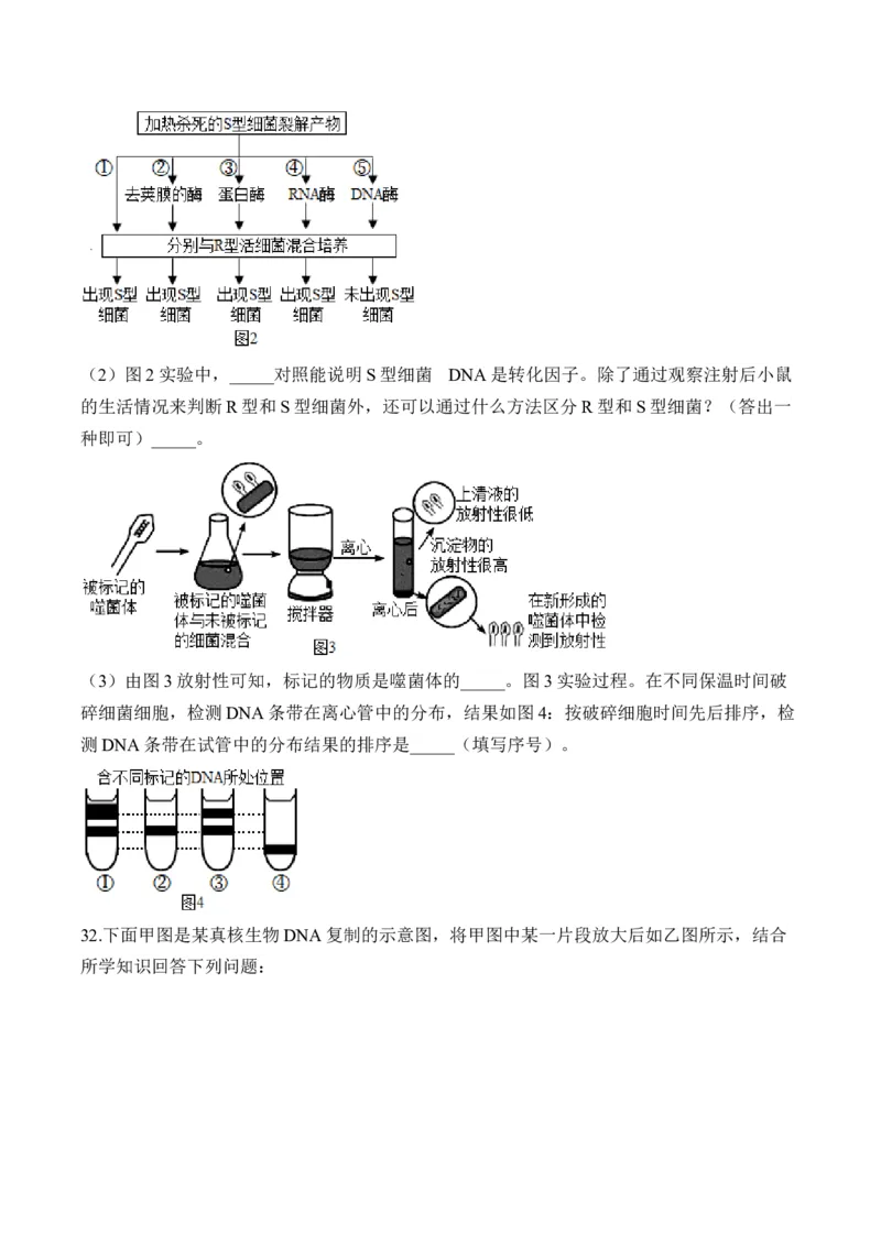 专题七遗传的分子基础（有解析）&mdash;&mdash;2025届高考生物考点剖析_2025年新高考资料_一轮复习_2025届高考生物一轮复习考点剖析练习（有解析）