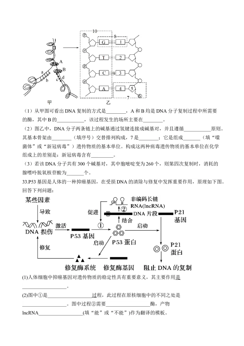 专题七遗传的分子基础（有解析）&mdash;&mdash;2025届高考生物考点剖析_2025年新高考资料_一轮复习_2025届高考生物一轮复习考点剖析练习（有解析）
