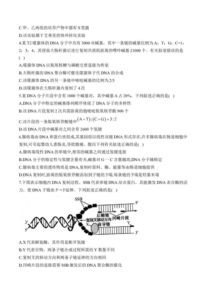 专题七遗传的分子基础（有解析）&mdash;&mdash;2025届高考生物考点剖析_2025年新高考资料_一轮复习_2025届高考生物一轮复习考点剖析练习（有解析）