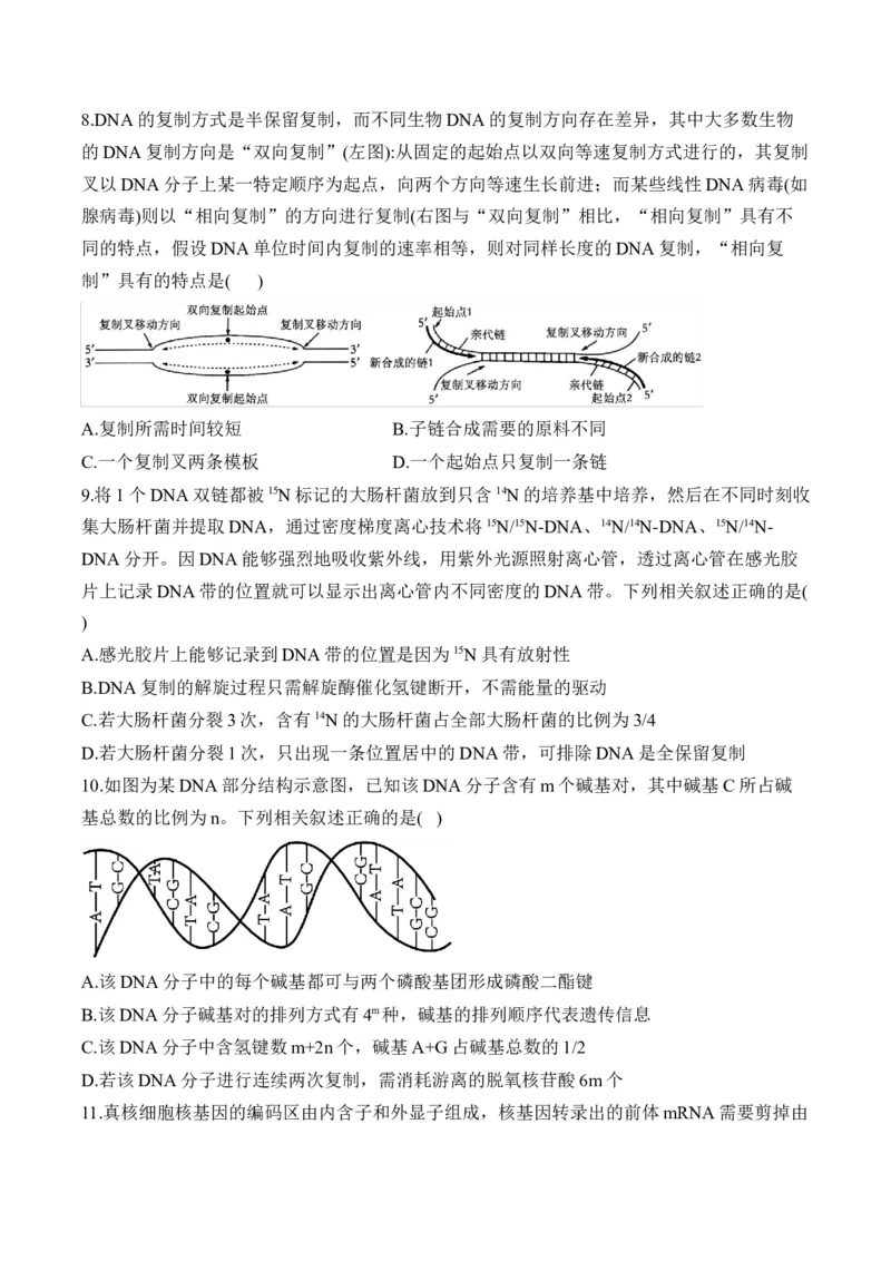专题七遗传的分子基础（有解析）&mdash;&mdash;2025届高考生物考点剖析_2025年新高考资料_一轮复习_2025届高考生物一轮复习考点剖析练习（有解析）