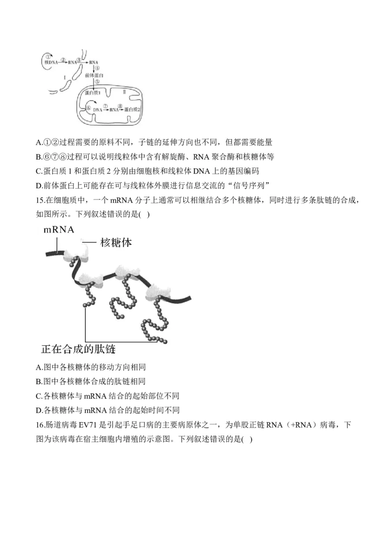 专题七遗传的分子基础（有解析）&mdash;&mdash;2025届高考生物考点剖析_2025年新高考资料_一轮复习_2025届高考生物一轮复习考点剖析练习（有解析）