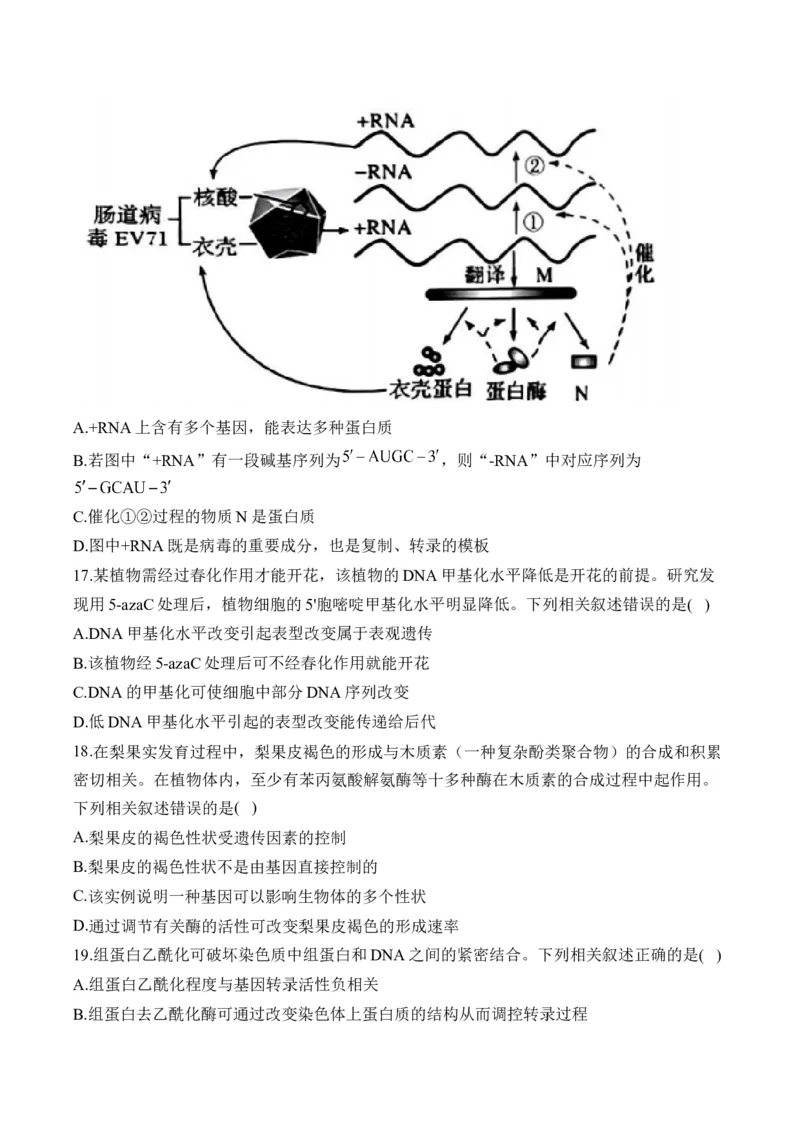 专题七遗传的分子基础（有解析）&mdash;&mdash;2025届高考生物考点剖析_2025年新高考资料_一轮复习_2025届高考生物一轮复习考点剖析练习（有解析）