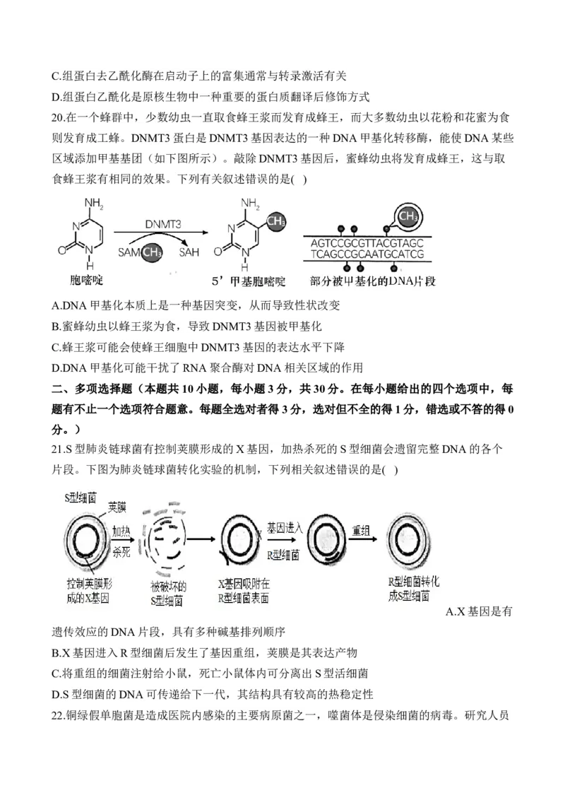 专题七遗传的分子基础（有解析）&mdash;&mdash;2025届高考生物考点剖析_2025年新高考资料_一轮复习_2025届高考生物一轮复习考点剖析练习（有解析）
