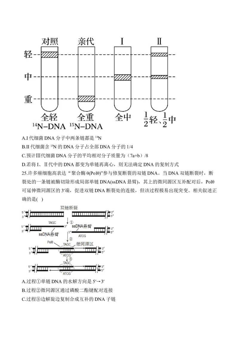 专题七遗传的分子基础（有解析）&mdash;&mdash;2025届高考生物考点剖析_2025年新高考资料_一轮复习_2025届高考生物一轮复习考点剖析练习（有解析）
