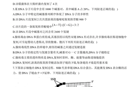 专题七遗传的分子基础（有解析）&mdash;&mdash;2025届高考生物考点剖析_2025年新高考资料_一轮复习_2025届高考生物一轮复习考点剖析练习（有解析）