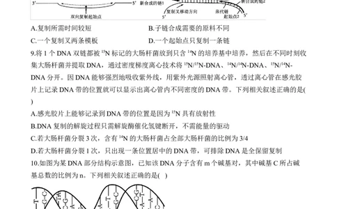 专题七遗传的分子基础（有解析）&mdash;&mdash;2025届高考生物考点剖析_2025年新高考资料_一轮复习_2025届高考生物一轮复习考点剖析练习（有解析）
