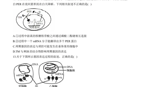专题七遗传的分子基础（有解析）&mdash;&mdash;2025届高考生物考点剖析_2025年新高考资料_一轮复习_2025届高考生物一轮复习考点剖析练习（有解析）