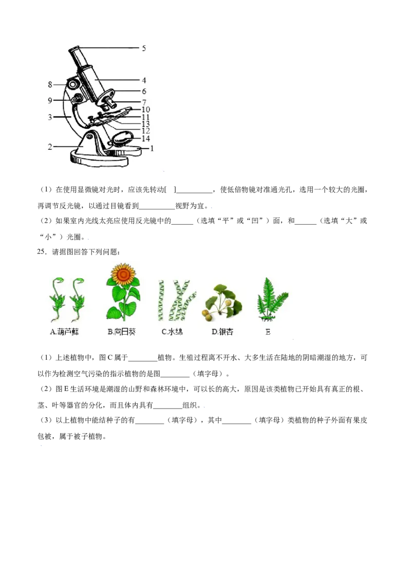 期末测试卷01-（人教版）（原卷版）_初中全科电子版试卷练习试题_生物_生物人教版7上练习&mdash;24新版已更新_人教生物7年级上期末试卷11份