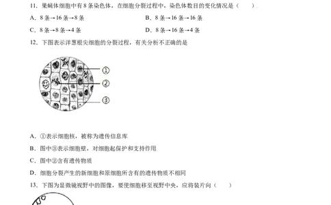 期末测试卷01-（人教版）（原卷版）_初中全科电子版试卷练习试题_生物_生物人教版7上练习&mdash;24新版已更新_人教生物7年级上期末试卷11份