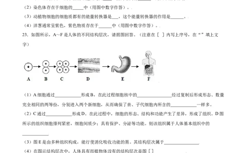 期末测试卷01-（人教版）（原卷版）_初中全科电子版试卷练习试题_生物_生物人教版7上练习&mdash;24新版已更新_人教生物7年级上期末试卷11份