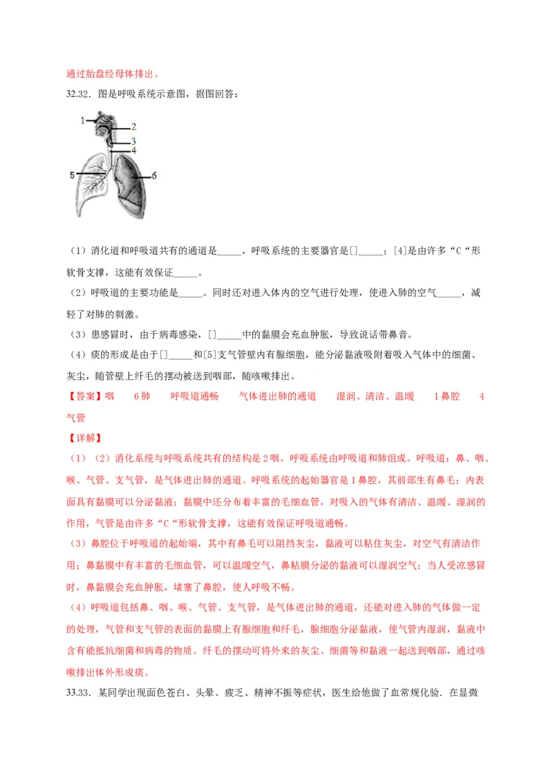 期中测试02-（解析版）_初中全科电子版试卷练习试题_生物_生物人教版7下练习_人教生物7年级下期中试卷07份