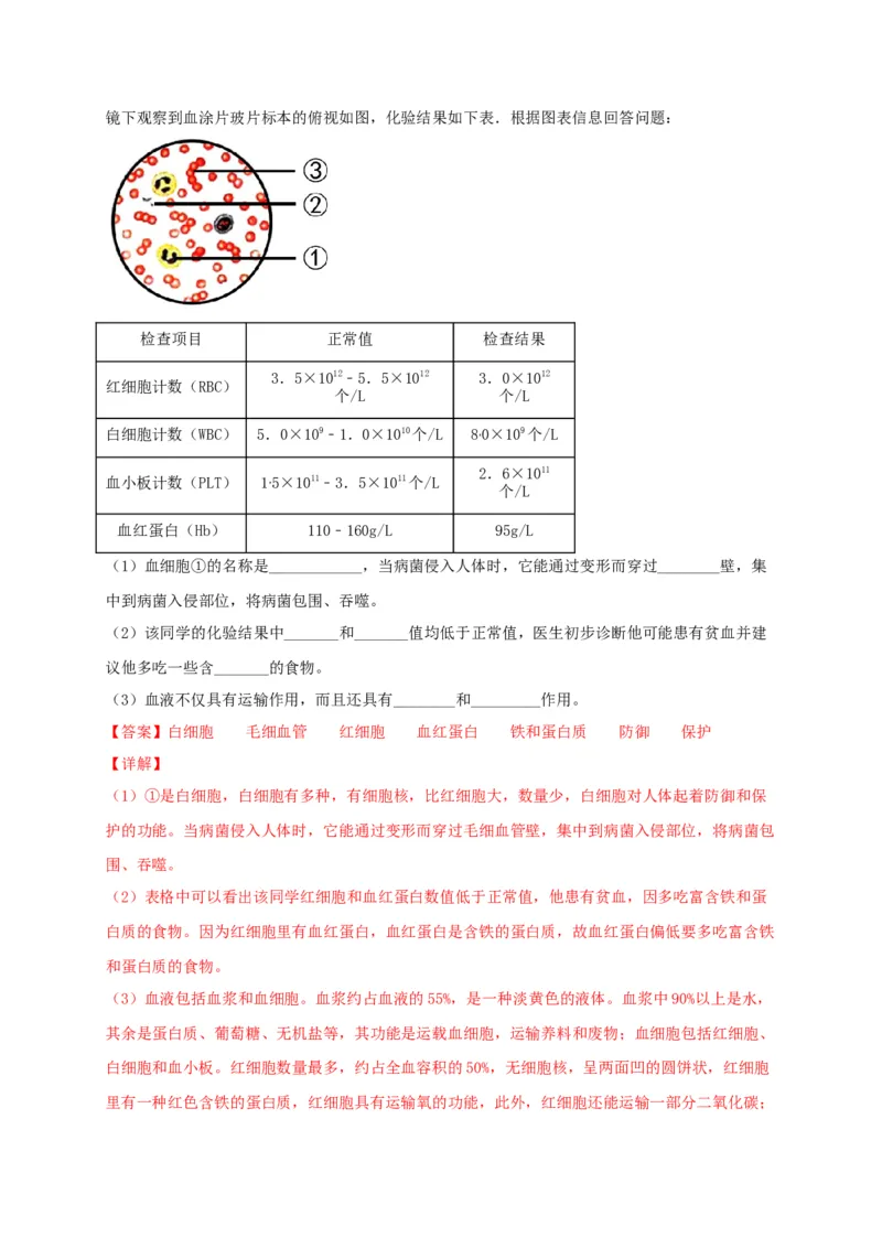 期中测试02-（解析版）_初中全科电子版试卷练习试题_生物_生物人教版7下练习_人教生物7年级下期中试卷07份