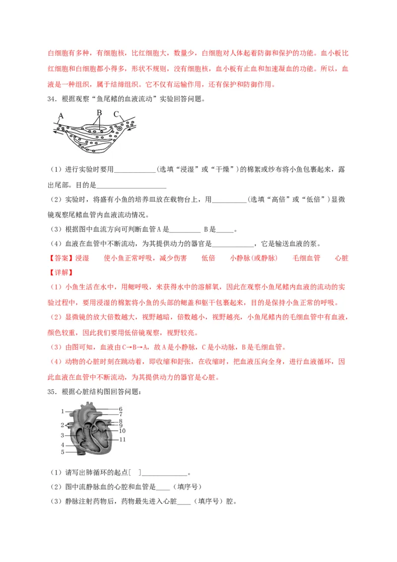 期中测试02-（解析版）_初中全科电子版试卷练习试题_生物_生物人教版7下练习_人教生物7年级下期中试卷07份