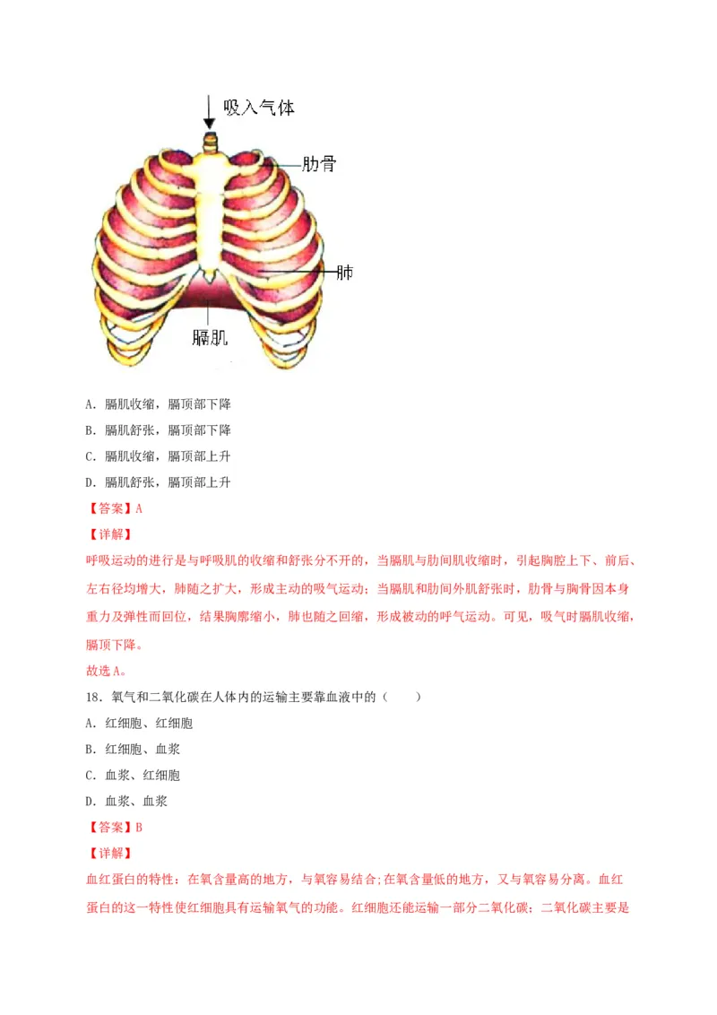 期中测试02-（解析版）_初中全科电子版试卷练习试题_生物_生物人教版7下练习_人教生物7年级下期中试卷07份