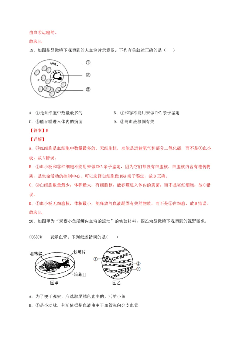 期中测试02-（解析版）_初中全科电子版试卷练习试题_生物_生物人教版7下练习_人教生物7年级下期中试卷07份