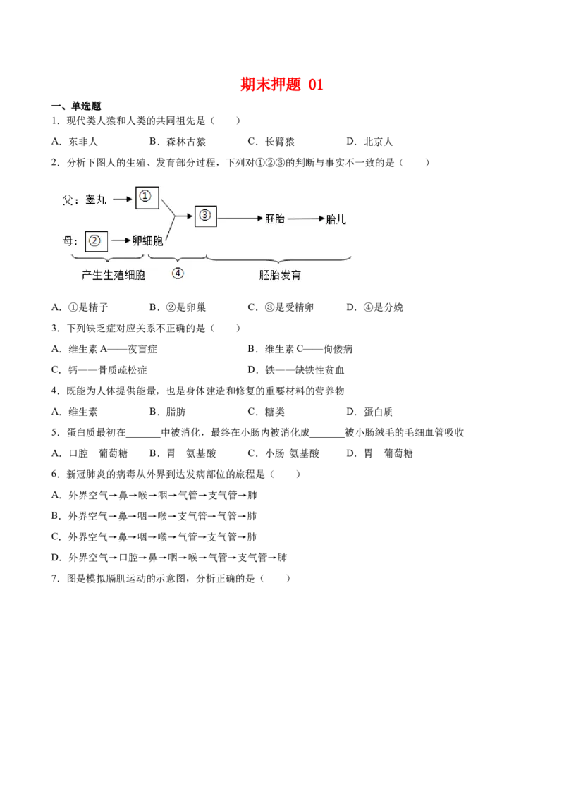 期末押题01-（人教版）（原卷版）_初中全科电子版试卷练习试题_生物_生物人教版7下练习_人教生物7年级下期末试卷11份
