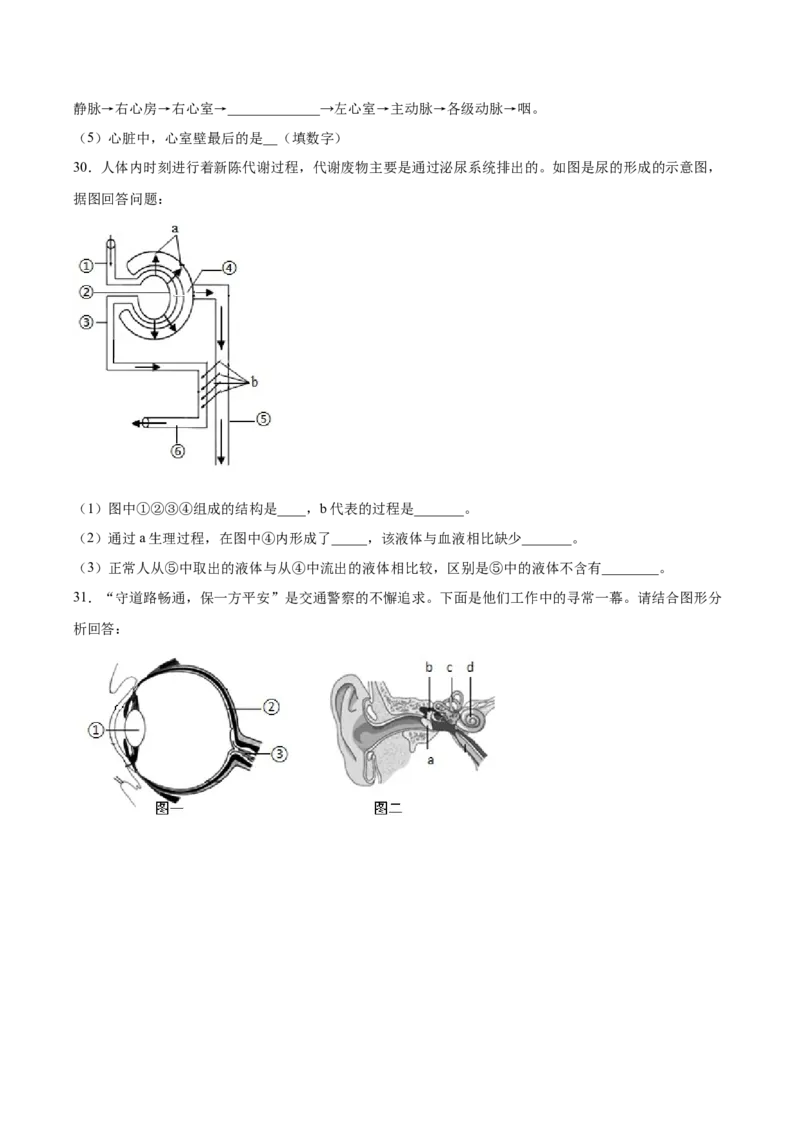 期末押题01-（人教版）（原卷版）_初中全科电子版试卷练习试题_生物_生物人教版7下练习_人教生物7年级下期末试卷11份