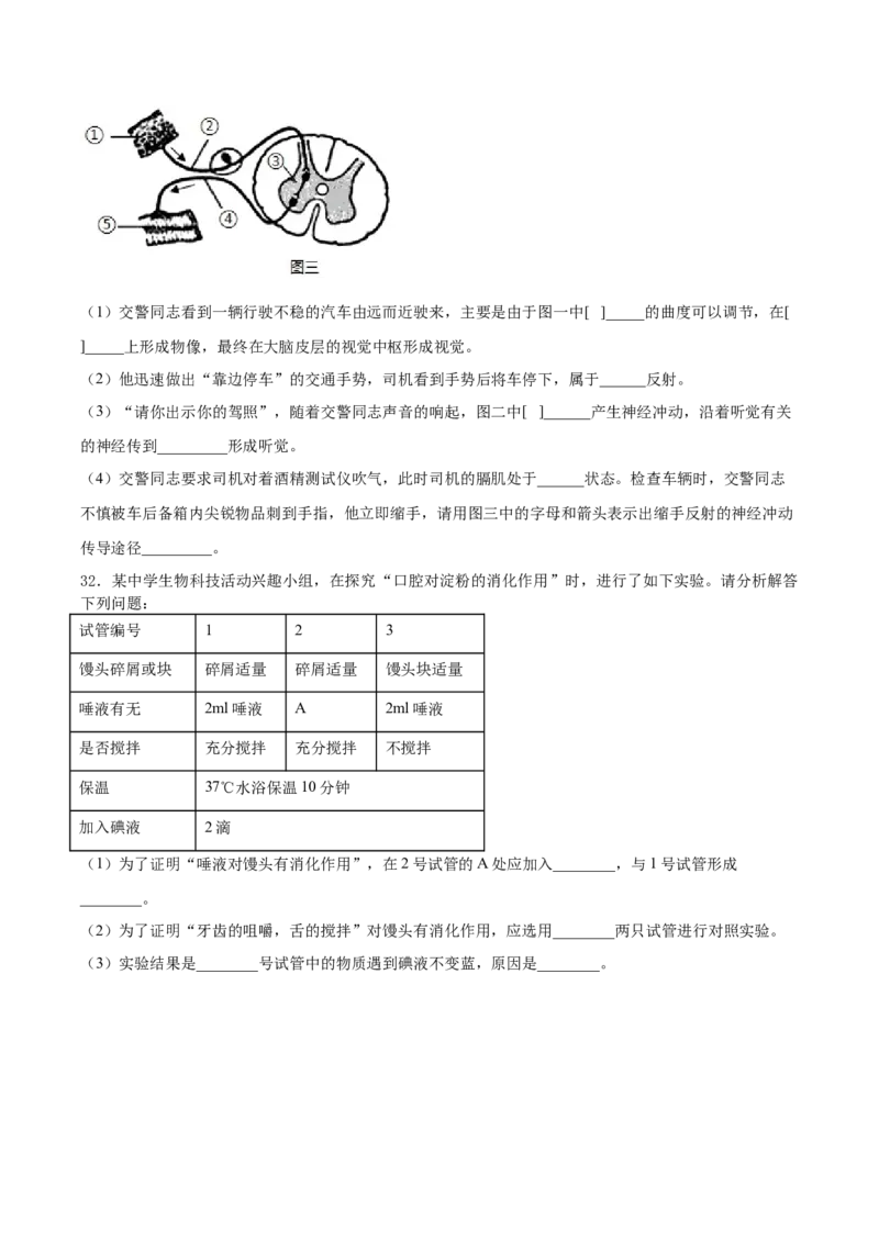 期末押题01-（人教版）（原卷版）_初中全科电子版试卷练习试题_生物_生物人教版7下练习_人教生物7年级下期末试卷11份