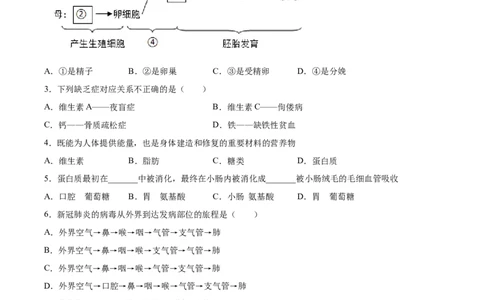 期末押题01-（人教版）（原卷版）_初中全科电子版试卷练习试题_生物_生物人教版7下练习_人教生物7年级下期末试卷11份
