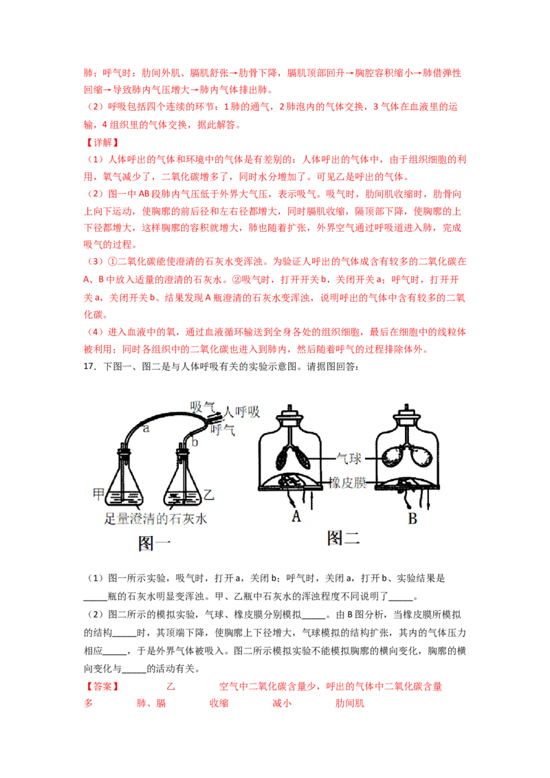 探究题03模拟呼吸运动中膈肌的变化-七年级生物下册教材实验探究必刷题（人教版）（解析版）_初中全科电子版试卷练习试题_生物_生物人教版7下练习