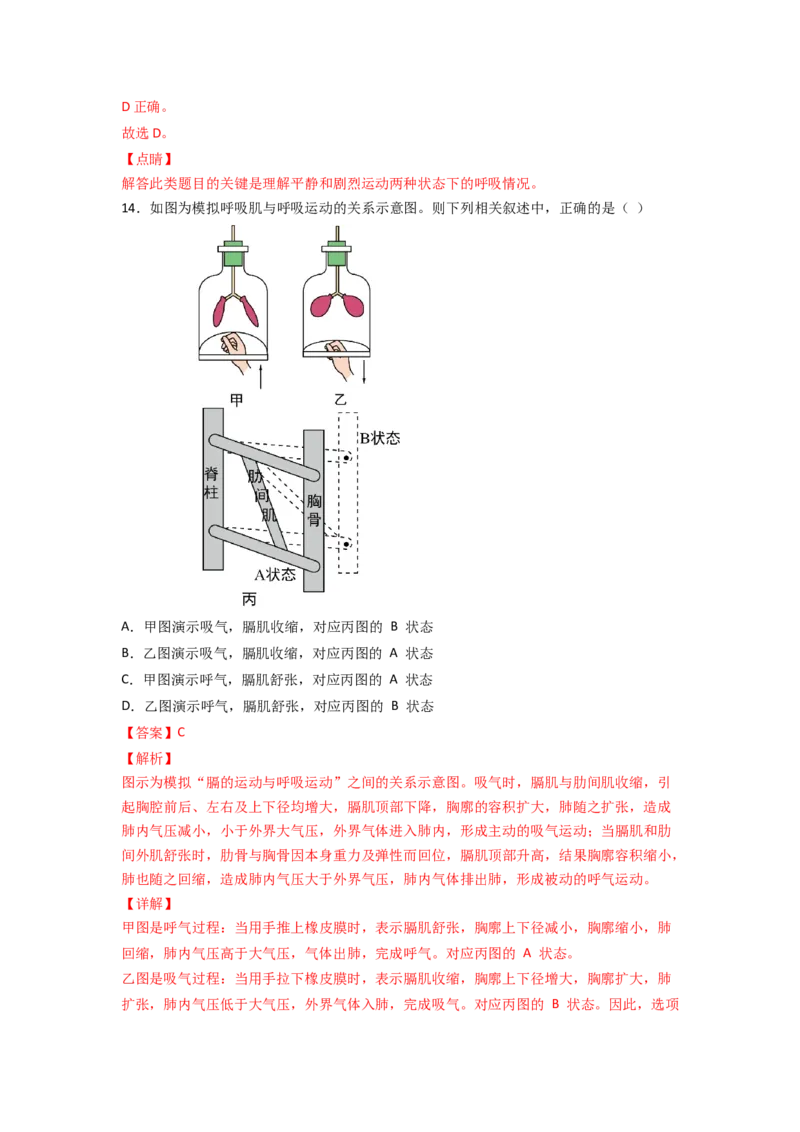 探究题03模拟呼吸运动中膈肌的变化-七年级生物下册教材实验探究必刷题（人教版）（解析版）_初中全科电子版试卷练习试题_生物_生物人教版7下练习