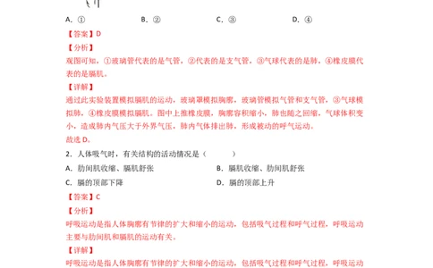 探究题03模拟呼吸运动中膈肌的变化-七年级生物下册教材实验探究必刷题（人教版）（解析版）_初中全科电子版试卷练习试题_生物_生物人教版7下练习