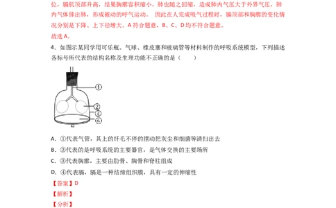 探究题03模拟呼吸运动中膈肌的变化-七年级生物下册教材实验探究必刷题（人教版）（解析版）_初中全科电子版试卷练习试题_生物_生物人教版7下练习