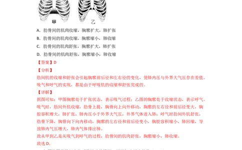 探究题03模拟呼吸运动中膈肌的变化-七年级生物下册教材实验探究必刷题（人教版）（解析版）_初中全科电子版试卷练习试题_生物_生物人教版7下练习