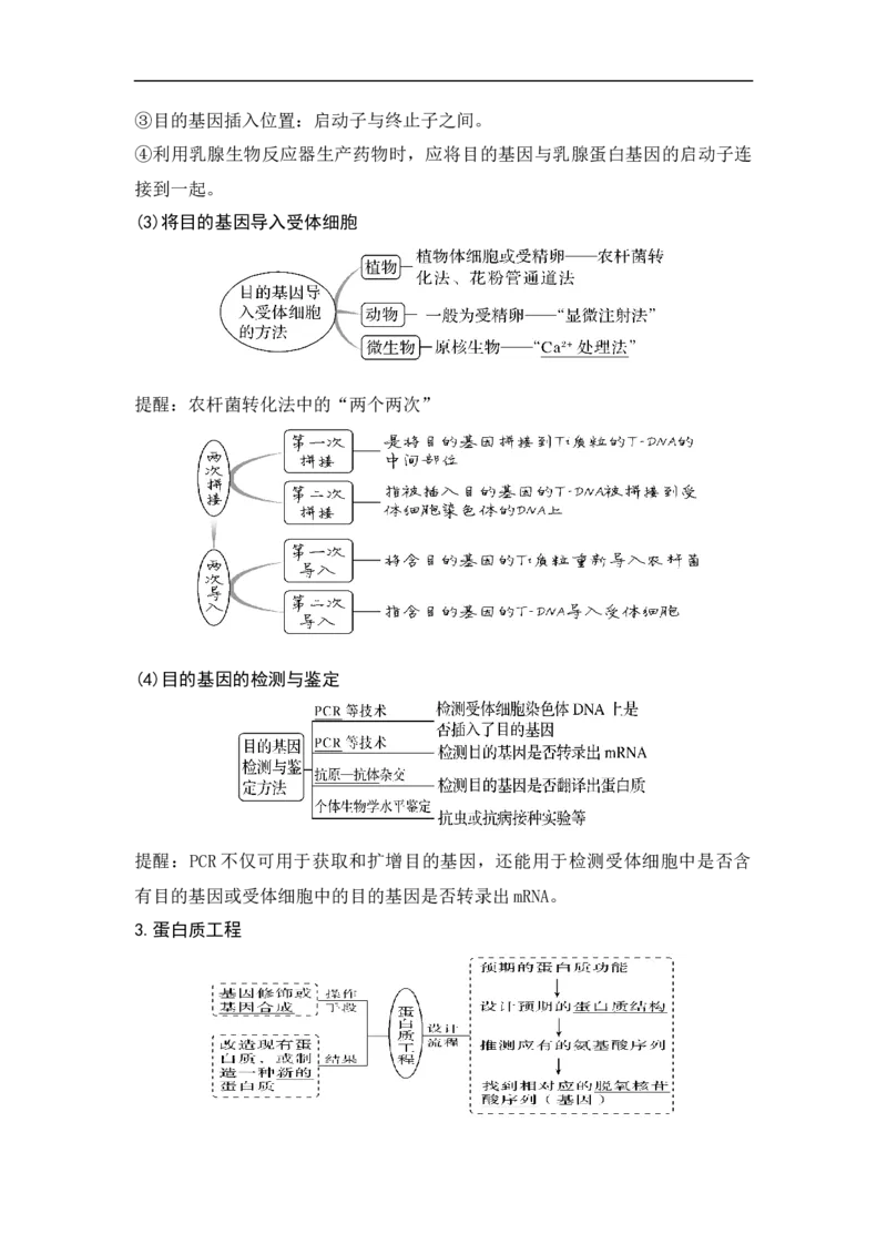 专题十生物工程(原卷版）_新高考复习资料_2023年新高考复习资料_二轮复习_过二轮备战2023年高考生物二轮专题剖析与综合训练（新教材）