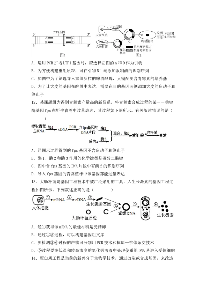 专题十生物工程(原卷版）_新高考复习资料_2023年新高考复习资料_二轮复习_过二轮备战2023年高考生物二轮专题剖析与综合训练（新教材）