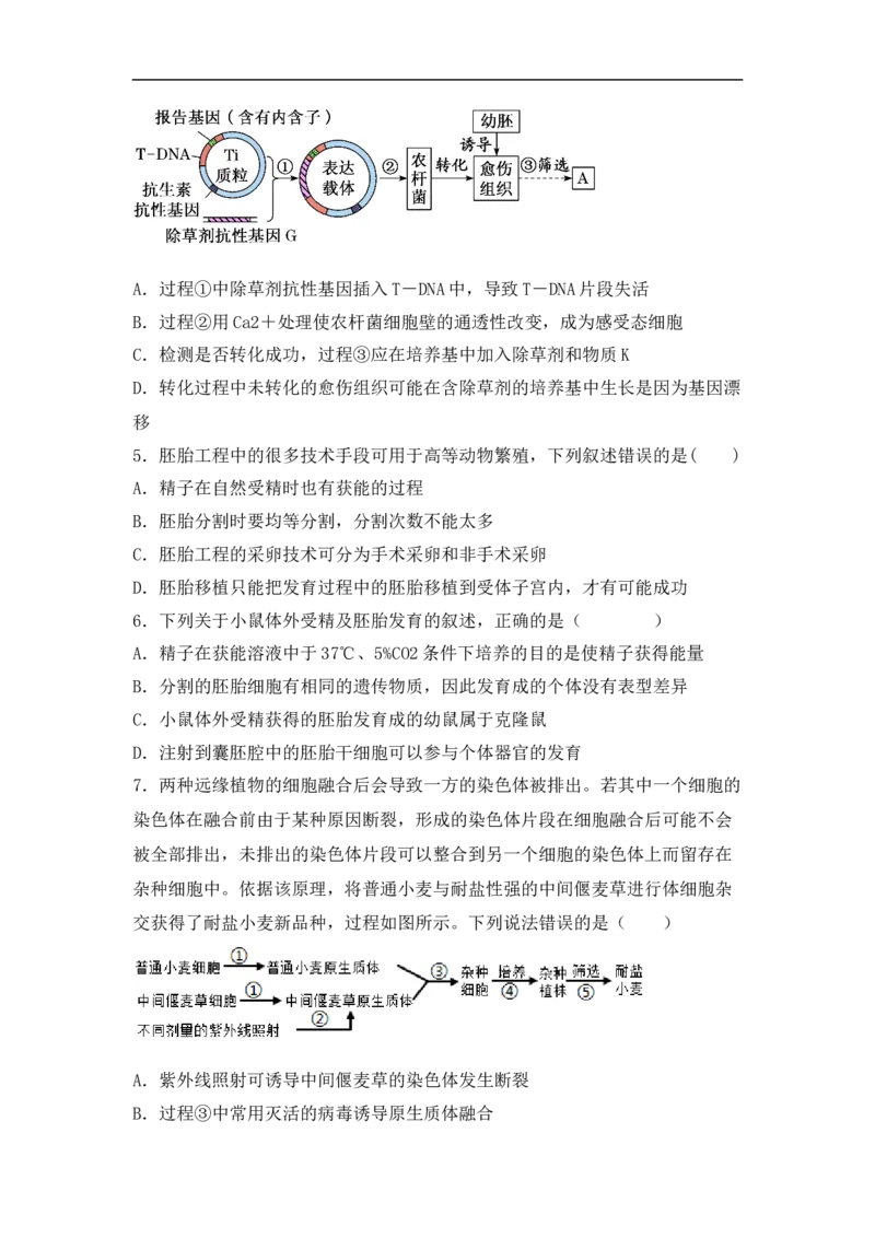 专题十生物工程(原卷版）_新高考复习资料_2023年新高考复习资料_二轮复习_过二轮备战2023年高考生物二轮专题剖析与综合训练（新教材）