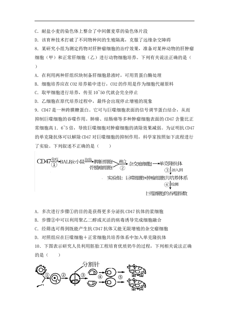 专题十生物工程(原卷版）_新高考复习资料_2023年新高考复习资料_二轮复习_过二轮备战2023年高考生物二轮专题剖析与综合训练（新教材）