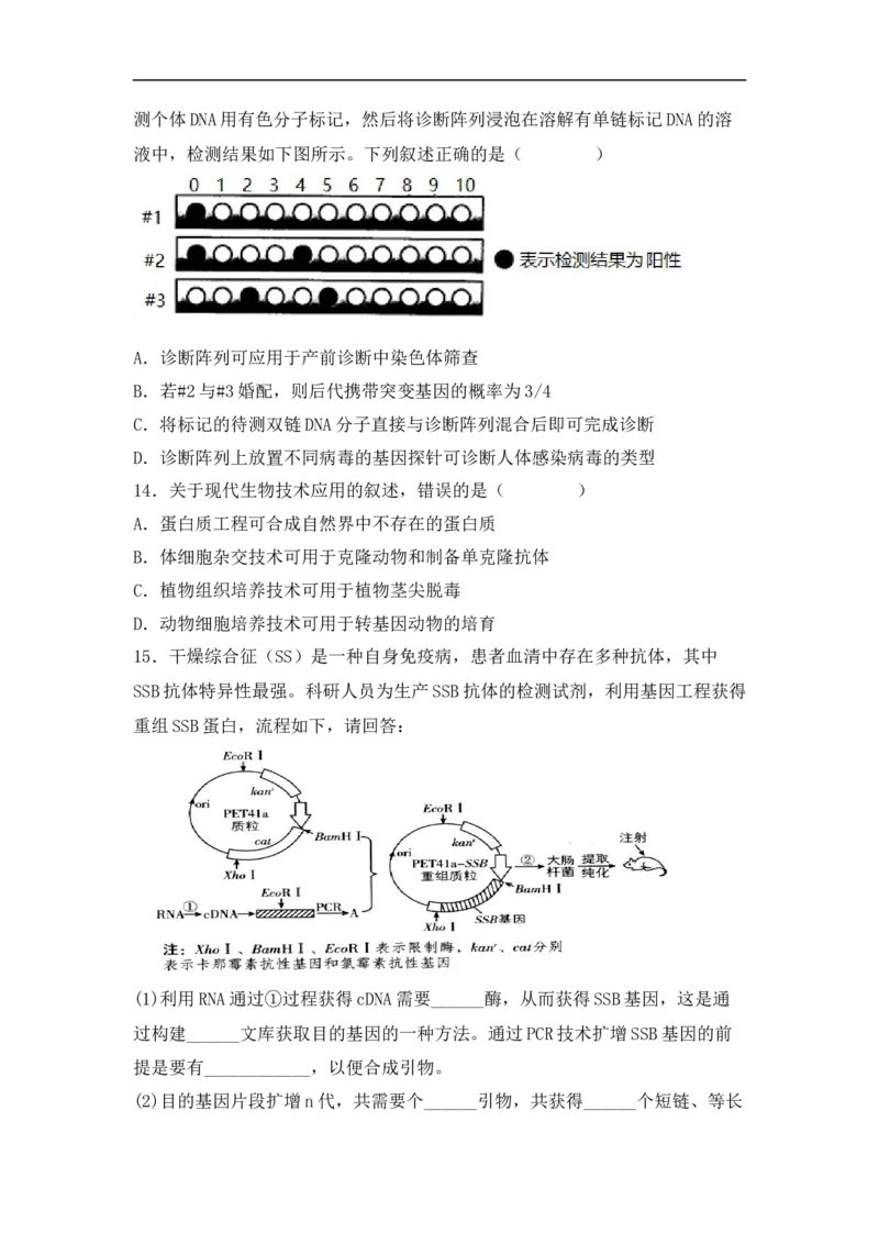 专题十生物工程(原卷版）_新高考复习资料_2023年新高考复习资料_二轮复习_过二轮备战2023年高考生物二轮专题剖析与综合训练（新教材）