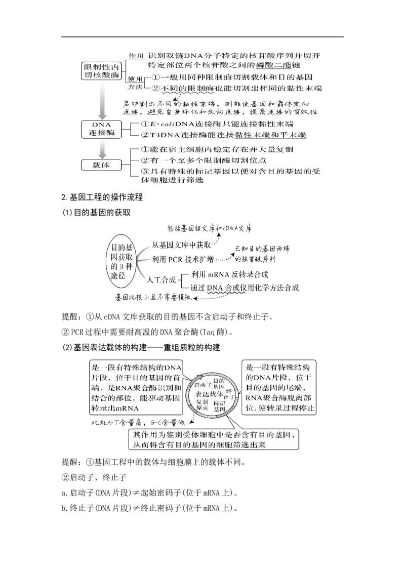专题十生物工程(原卷版）_新高考复习资料_2023年新高考复习资料_二轮复习_过二轮备战2023年高考生物二轮专题剖析与综合训练（新教材）