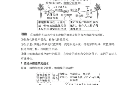 专题十生物工程(原卷版）_新高考复习资料_2023年新高考复习资料_二轮复习_过二轮备战2023年高考生物二轮专题剖析与综合训练（新教材）