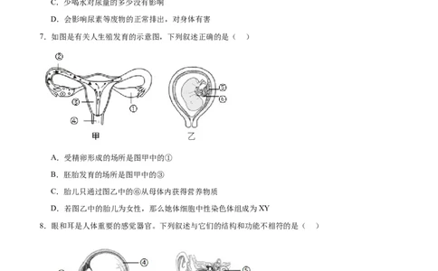 生物（河南卷）（考试版A4）_初中全科电子版试卷练习试题_生物_2024中考模拟题生物(1)_二模_生物（河南卷）-：2024年中考第二次模拟考试