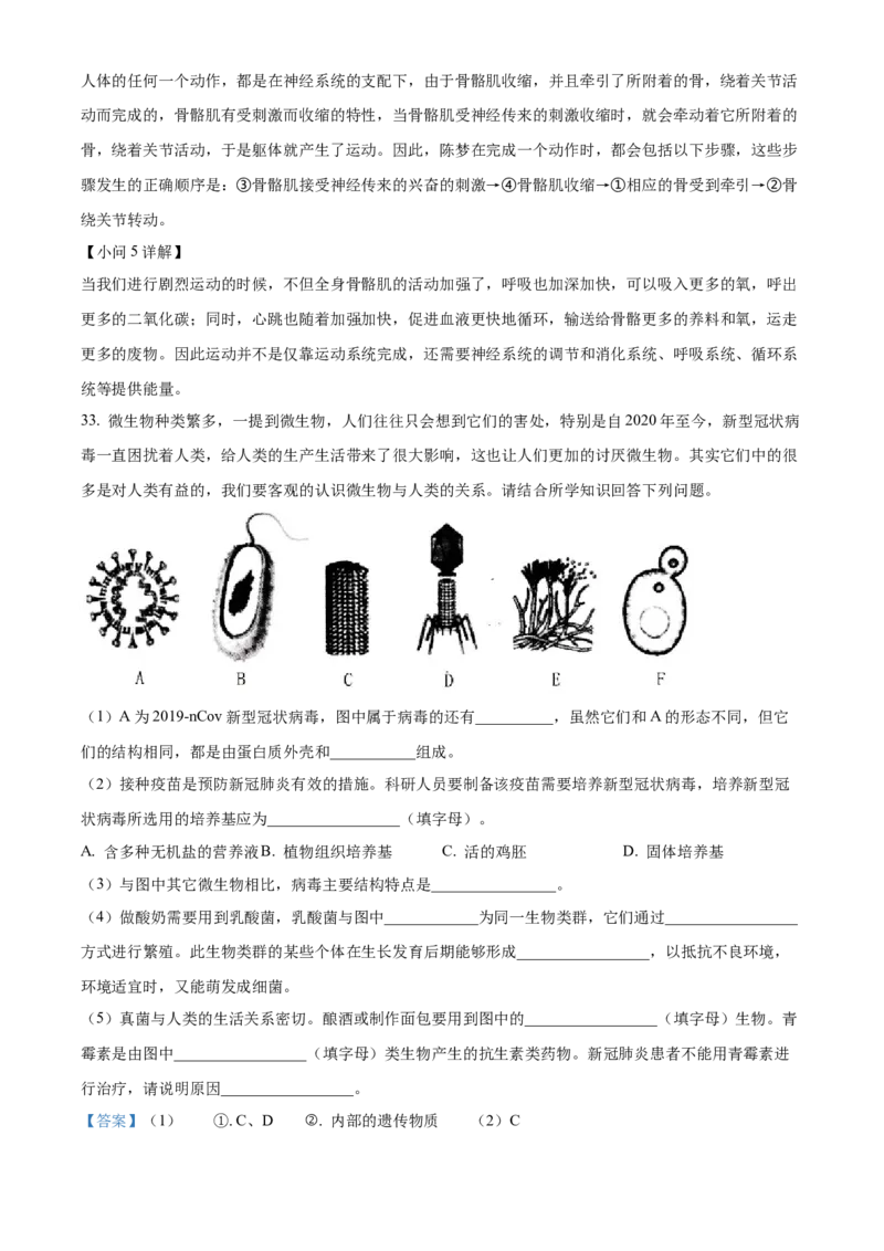 八年级上学期期中生物试题05（解析版）_初中全科电子版试卷练习试题_生物_生物8上练习_人教生物8年级上期中试卷08份