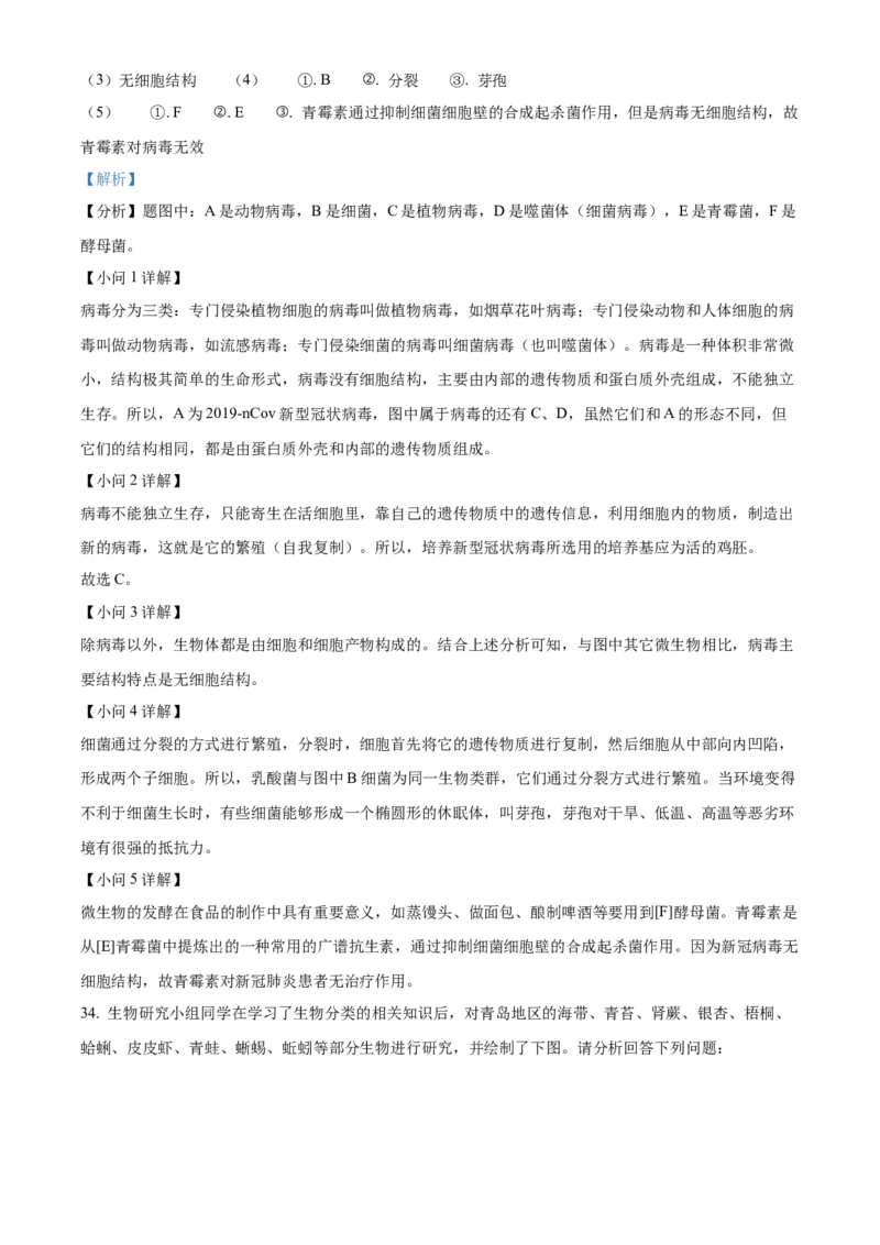 八年级上学期期中生物试题05（解析版）_初中全科电子版试卷练习试题_生物_生物8上练习_人教生物8年级上期中试卷08份