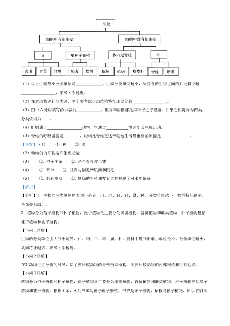 八年级上学期期中生物试题05（解析版）_初中全科电子版试卷练习试题_生物_生物8上练习_人教生物8年级上期中试卷08份
