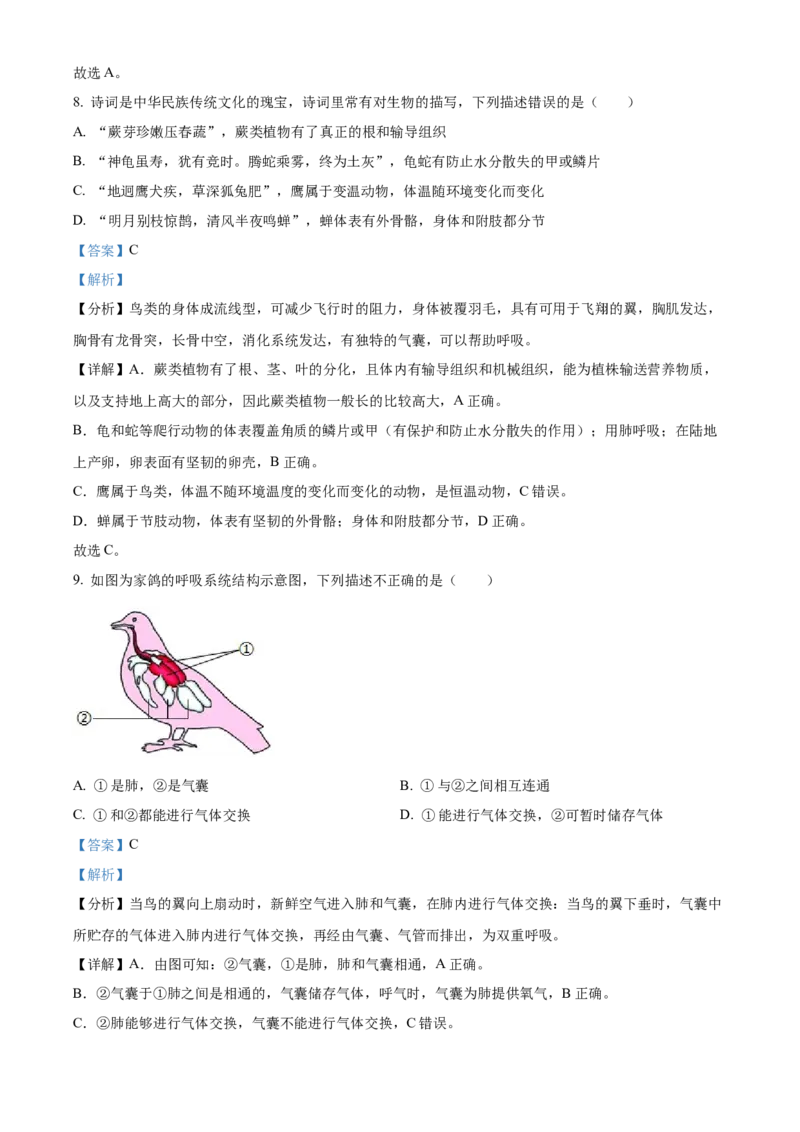 八年级上学期期中生物试题05（解析版）_初中全科电子版试卷练习试题_生物_生物8上练习_人教生物8年级上期中试卷08份