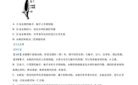 八年级上学期期中生物试题05（解析版）_初中全科电子版试卷练习试题_生物_生物8上练习_人教生物8年级上期中试卷08份