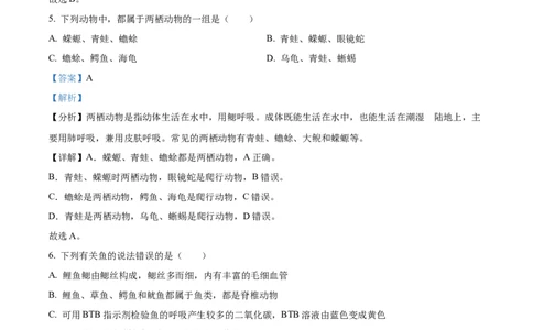 八年级上学期期中生物试题05（解析版）_初中全科电子版试卷练习试题_生物_生物8上练习_人教生物8年级上期中试卷08份