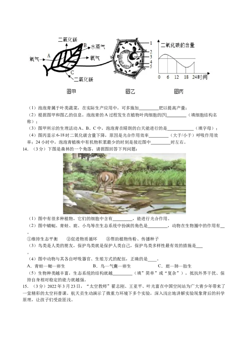 生物（辽宁卷）（考试版A4）_初中全科电子版试卷练习试题_生物_2024中考模拟题生物(1)_一模_生物（辽宁卷）-2024年中考第一次模拟考试
