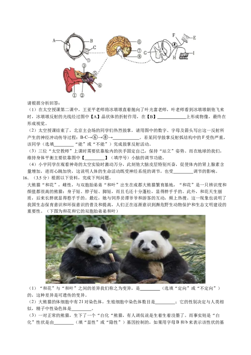 生物（辽宁卷）（考试版A4）_初中全科电子版试卷练习试题_生物_2024中考模拟题生物(1)_一模_生物（辽宁卷）-2024年中考第一次模拟考试