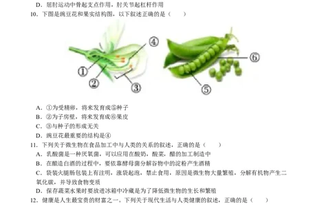 生物（辽宁卷）（考试版A4）_初中全科电子版试卷练习试题_生物_2024中考模拟题生物(1)_一模_生物（辽宁卷）-2024年中考第一次模拟考试